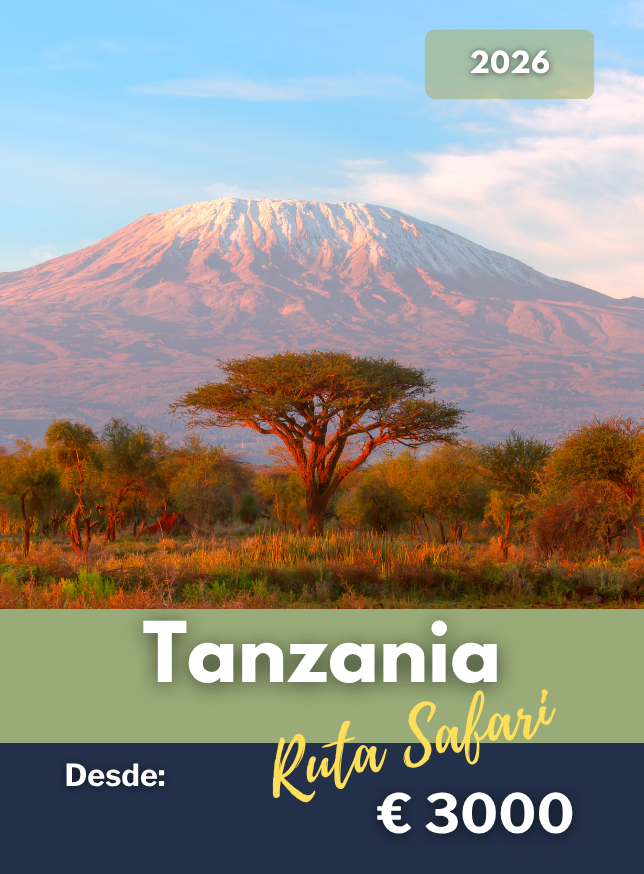 Tanzania Safari